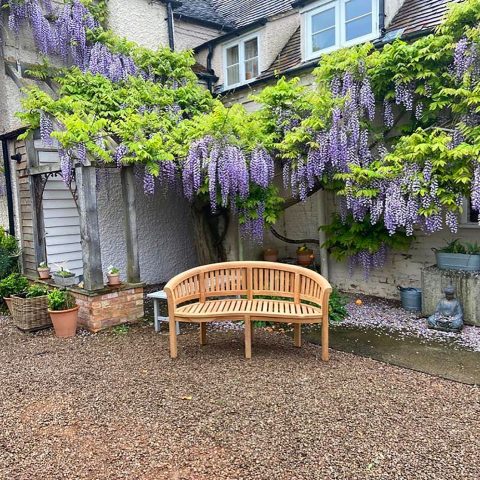 peanut-bench